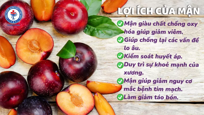 Các lợi ích của mận
