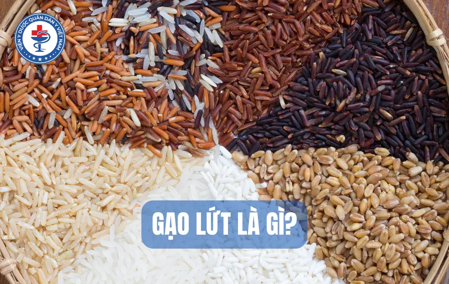 Gạo lứt là gì