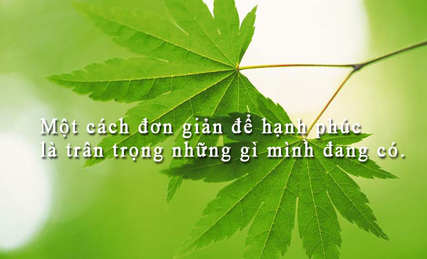 Hãy Sống Đúng Nghĩa Chứ Đừng Tồn Tại! Hãy Sống Đúng Nghĩa Chứ Đừng Tồn Tại!