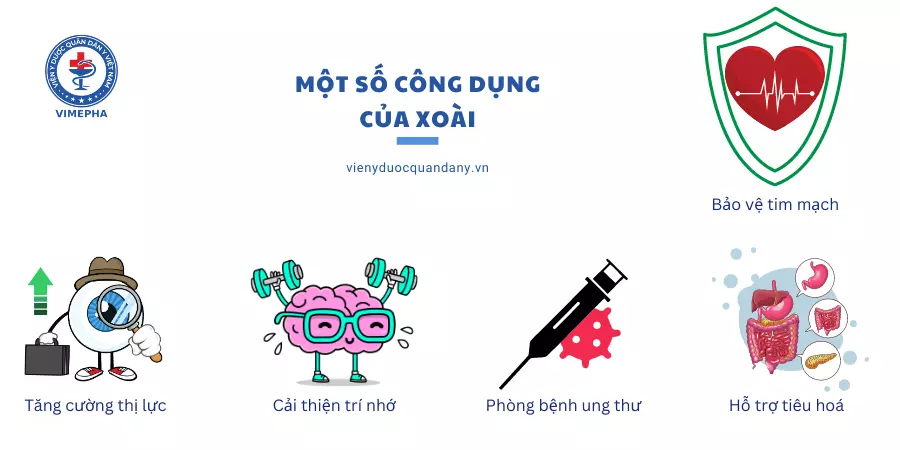 Một số công dụng của xoài
