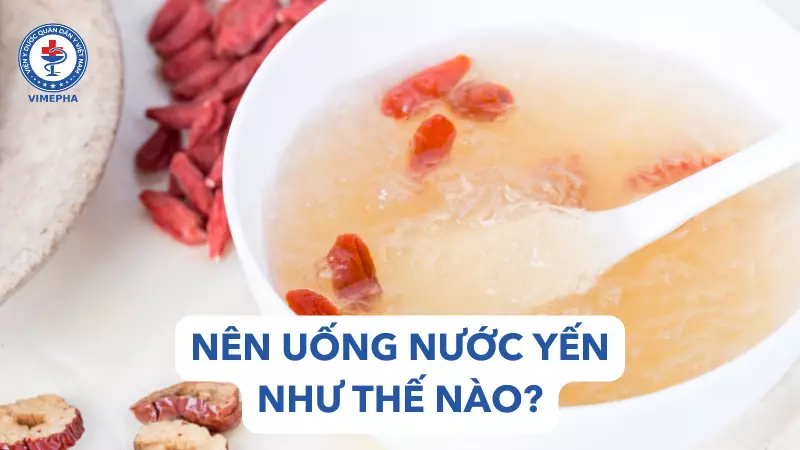 Nên uống nước yến như thế nào?