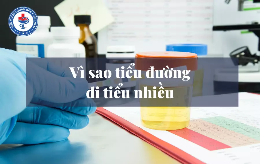 Vì sao tiểu đường đi tiểu nhiều